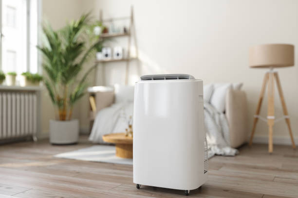 Best Ductless Mini-Split Systems in Rossville, IN